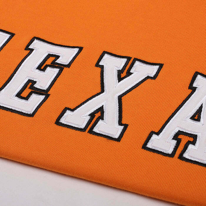 Texas Embroidery Aesthetic Hoodie for Trendy Y2K Fashion Enthusiasts